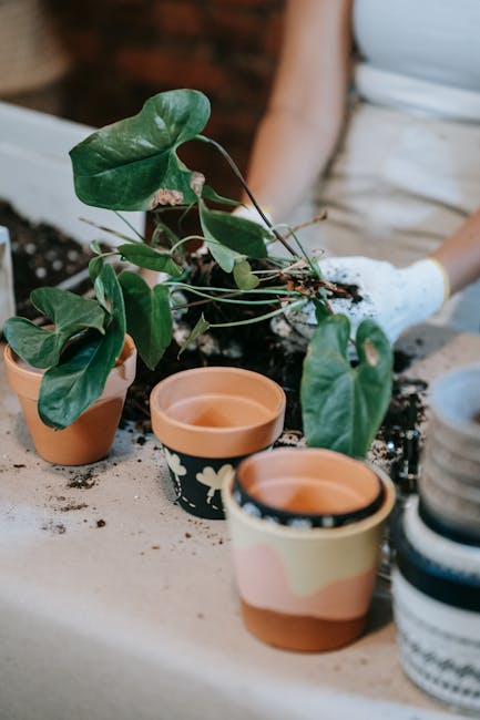 A gardener’s hands in white gloves working at a potting bench with a lush Syngonium (Arrowhead Plant) in a small terracotta pot, surrounded by decorative hand-painted planters.