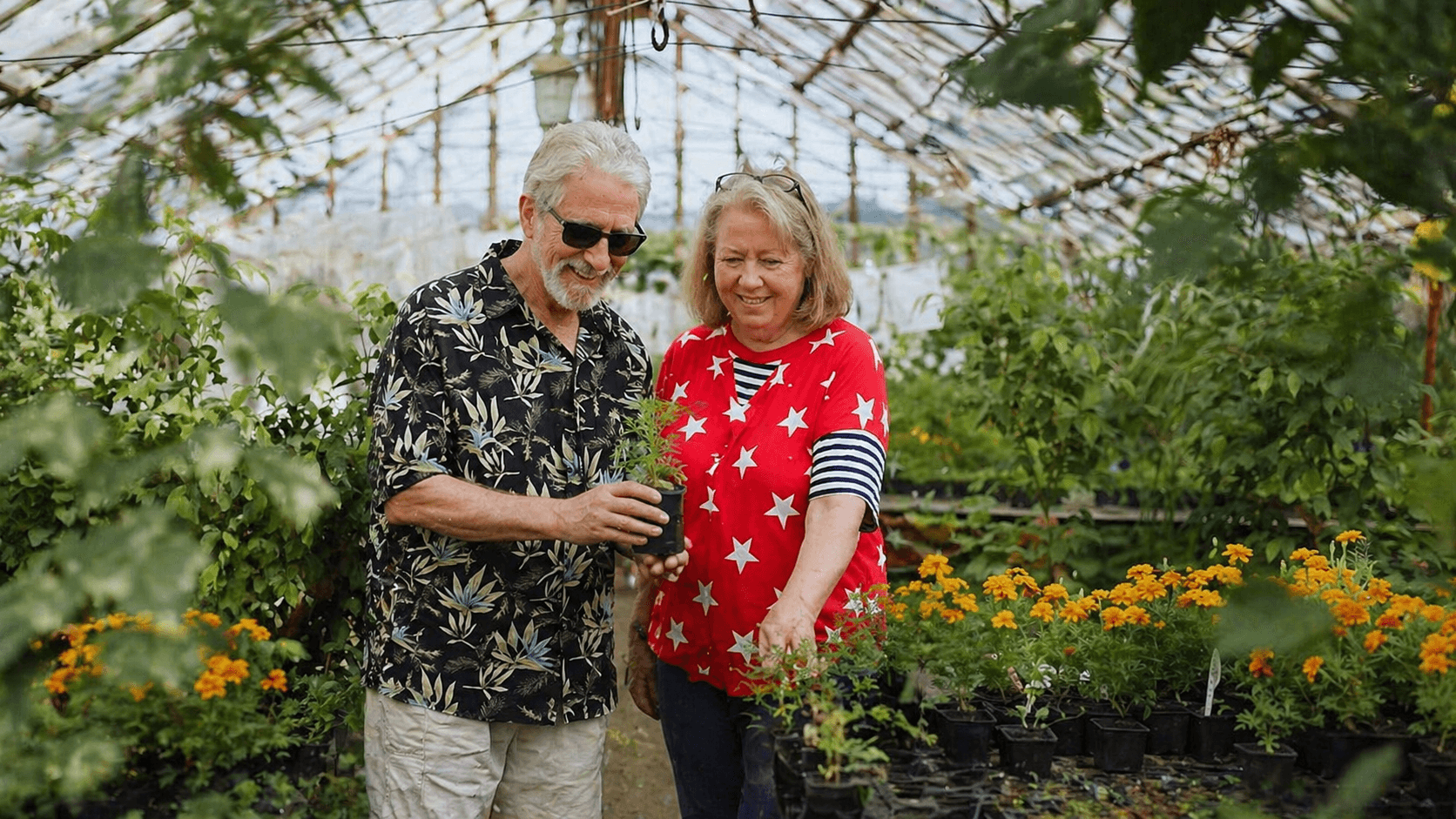 A candid photo of Phyllis and Art smiling while inspecting a young potted tree sapling inside the Petal Pusher Nursery greenhouse, surrounded by orange Marigolds.