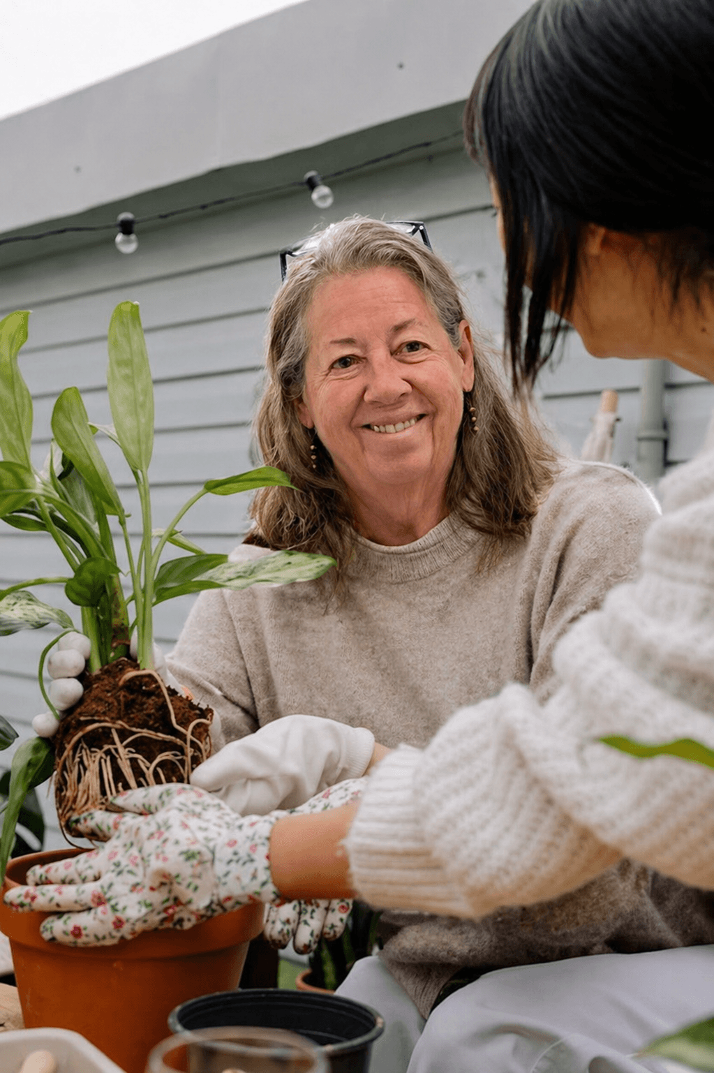 A candid photo of a woman, Phyllis, smiling while carefully potting a plant with healthy roots into a terracotta pot at Petal Pusher Nursery.